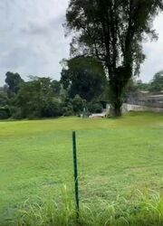 Tanglin Hill (D10), Detached #458917061